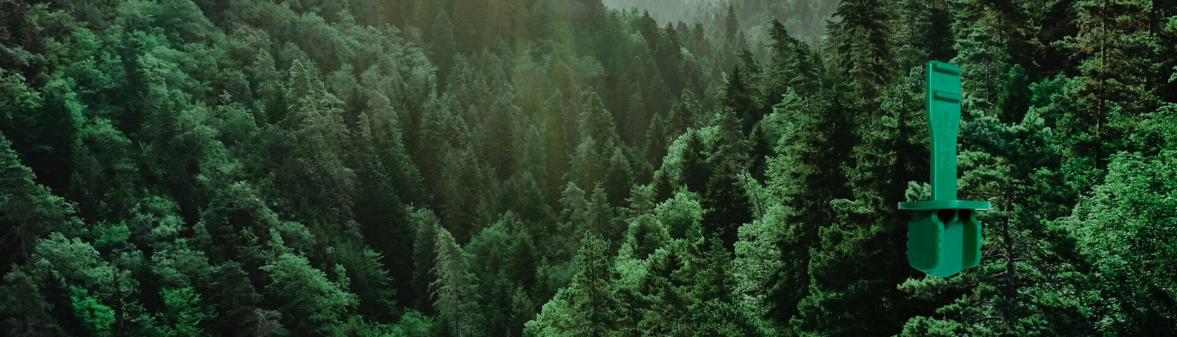 Sustainability at DBI